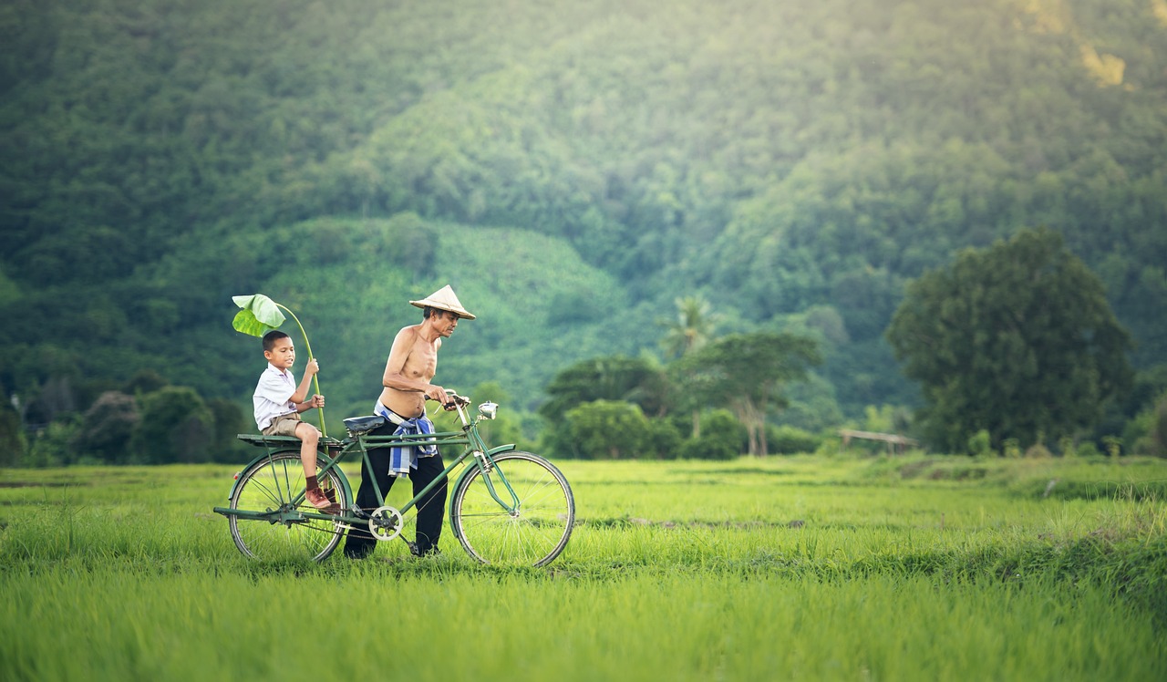 How to Make Authentic Vietnamese Goi Cuon